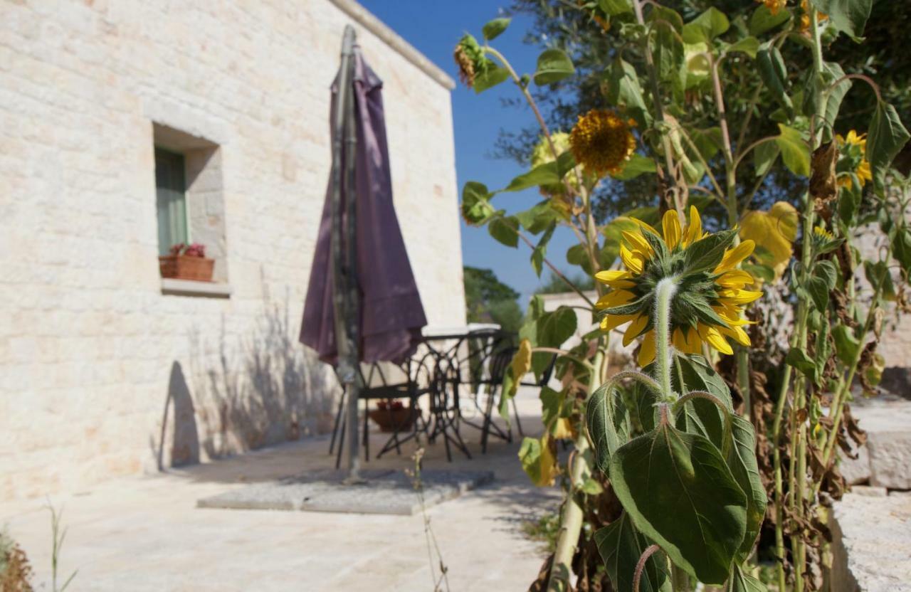 L'Uliveto Apartment Cisternino Luaran gambar