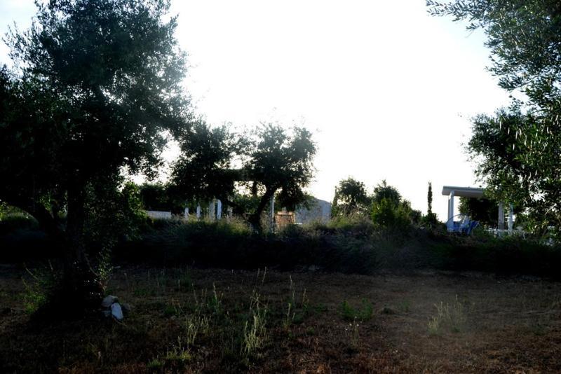 L'Uliveto Apartment Cisternino Luaran gambar